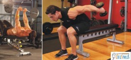 Best Exercises for Tricep