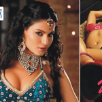 Veena Malik leaked mms video with rajiv verma