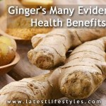Ginger Evidence Based Health Benefits Revealed