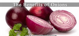 Onions: 12 Amazing Health Benefits & Nutrition Facts